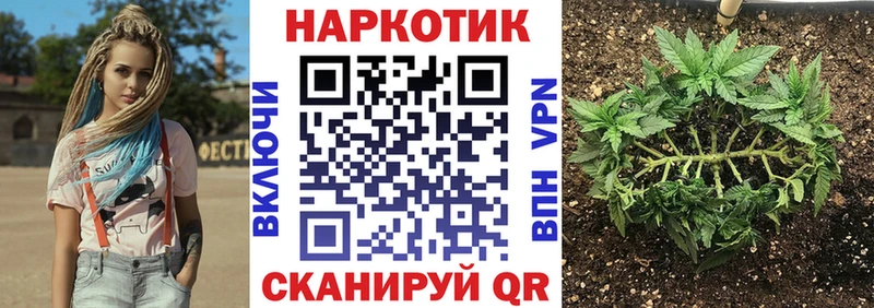 Названия наркотиков Барыш Метадон MEGA вход Альфа ПВП МАРИХУАНА Cocaine ГАШИШ