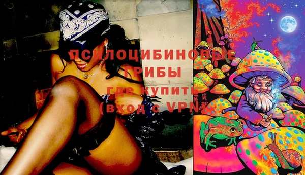 apvp Михайловка