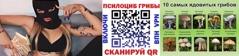 Псилоцибиновые грибы Cubensis Барыш
